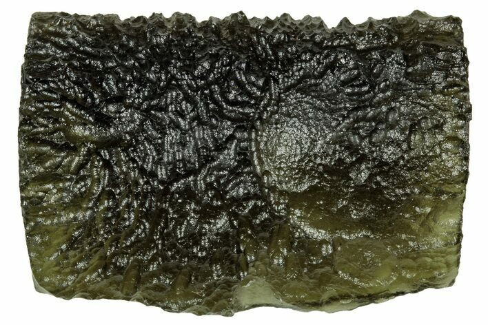 Green Moldavite Tektite ( g) - Czech Republic #330759